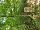 Bornes du prince